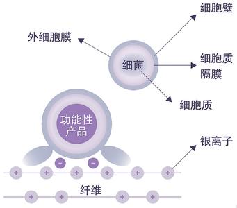 山宁泰抗菌、防螨、防蚊系列