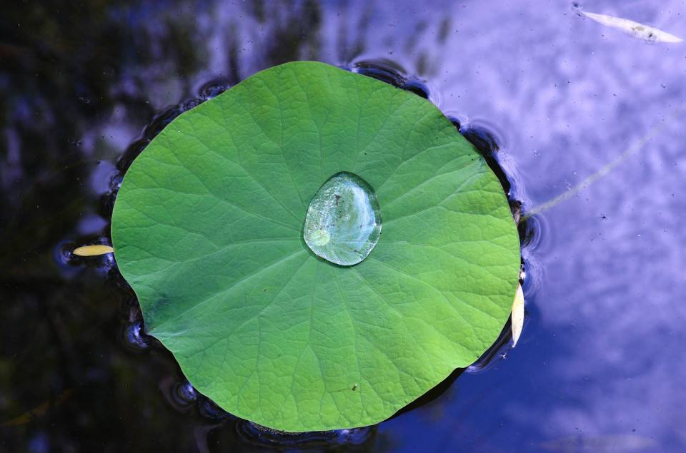 面料防水效果是怎样的