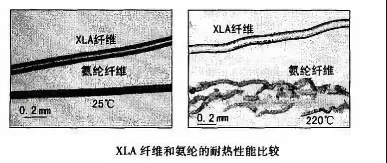 微信图片_20190117095414.jpg