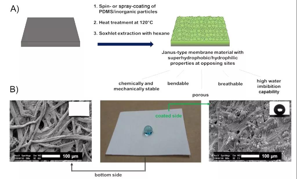 Janus膜的制备及表面形貌