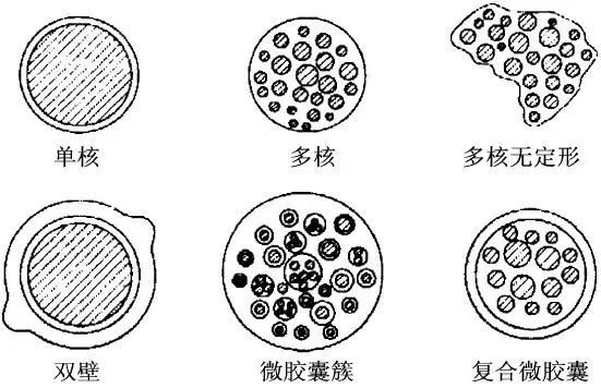 功能性整理剂